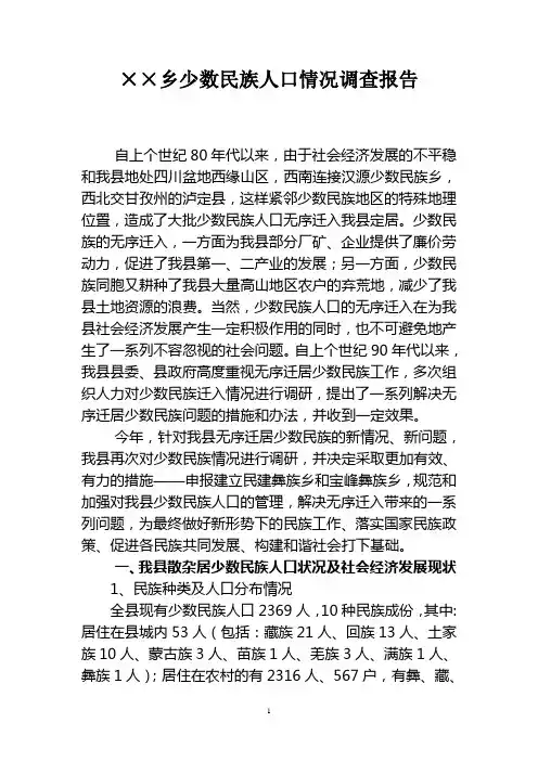 乡少数民族人口情况调查报告