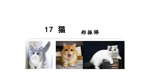 2024年部编版七年级语文上册 17《猫》(课件) 