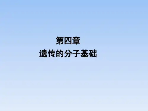 苏教版高中生物必修2《遗传的分子基础》章末复习课件