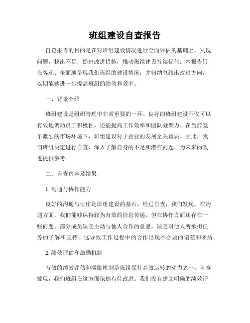 班组建设自查报告