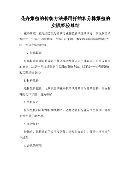 花卉繁殖的传统方法采用扦插和分株繁殖的实践经验总结