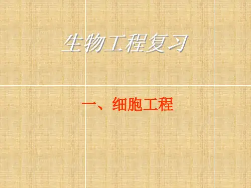 人教版高三生物专题复习 生物工程课件