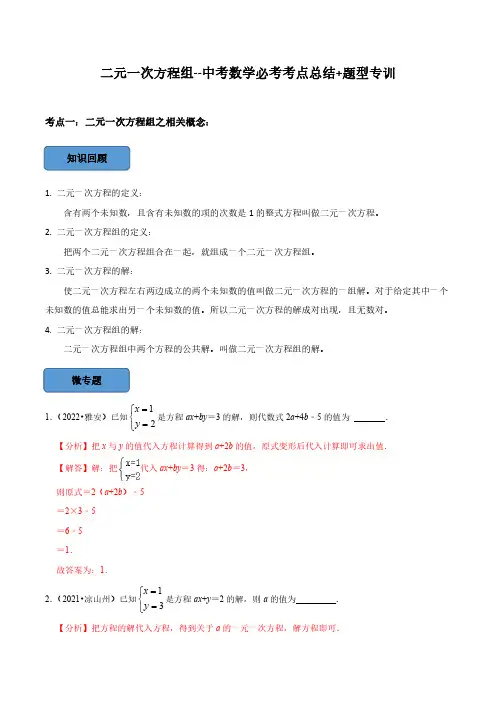 二元一次方程组篇(解析版)-2023年中考数学必考考点总结