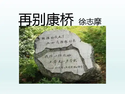 人教版高一语文必修一《再别康桥》课件(62张ppt)