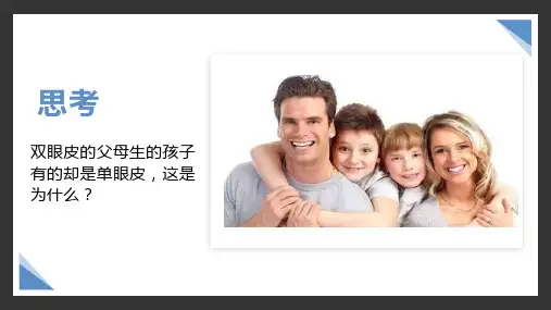 第二节性状的遗传课件济南版生物八年级上册