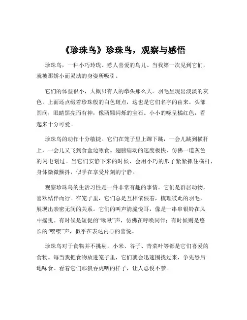 《珍珠鸟》珍珠鸟,观察与感悟