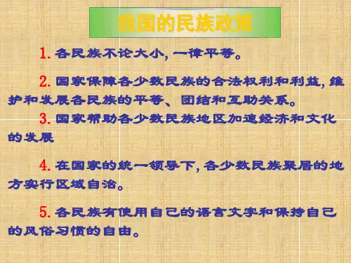 我国的民族政策课件