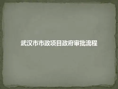 武汉市市政项目审批流程整理