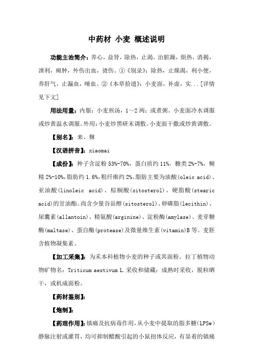 中药材 小麦 概述说明