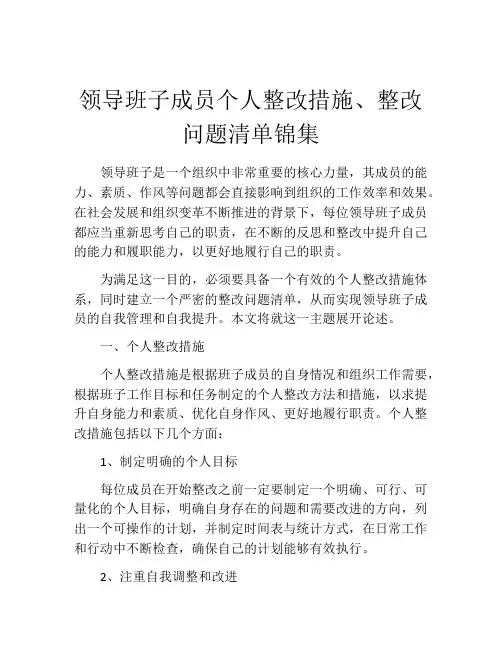 领导班子成员个人整改措施、整改问题清单锦集