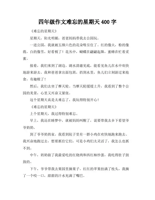 四年级作文难忘的星期天400字