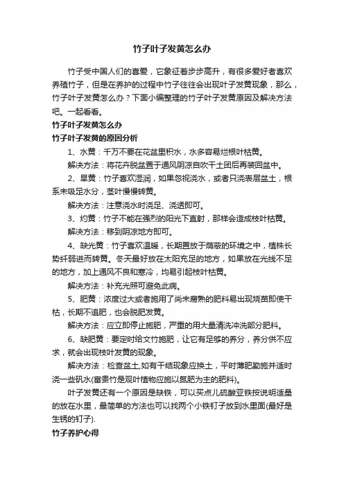 竹子叶子发黄怎么办