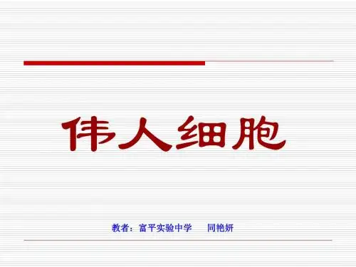 伟人细胞课件.ppt