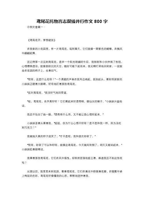 鸢尾花托物言志双线并行作文800字