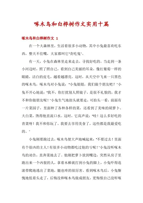 啄木鸟和白桦树作文实用十篇