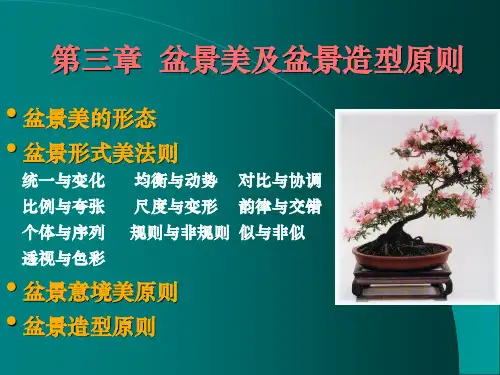 03-2造型原则-盆景形式美法则
