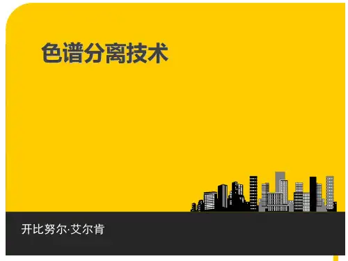 色谱分离