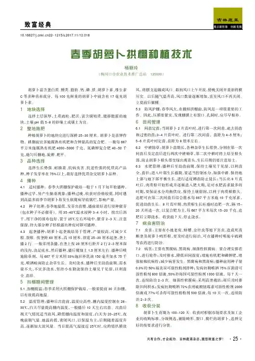 春季胡萝卜拱棚种植技术