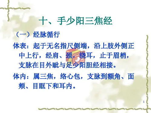 针灸穴位经络介绍——手少阳三焦经