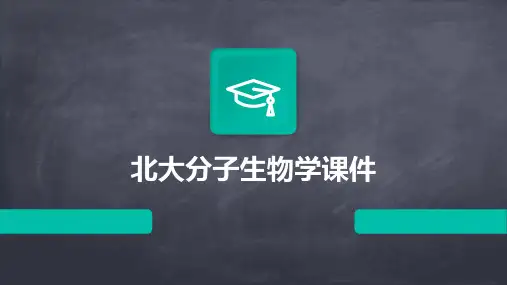 北大分子生物学课件