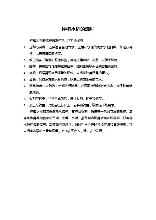 种植水稻的流程