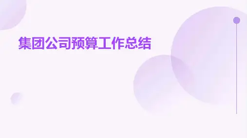 集团公司预算工作总结PPT