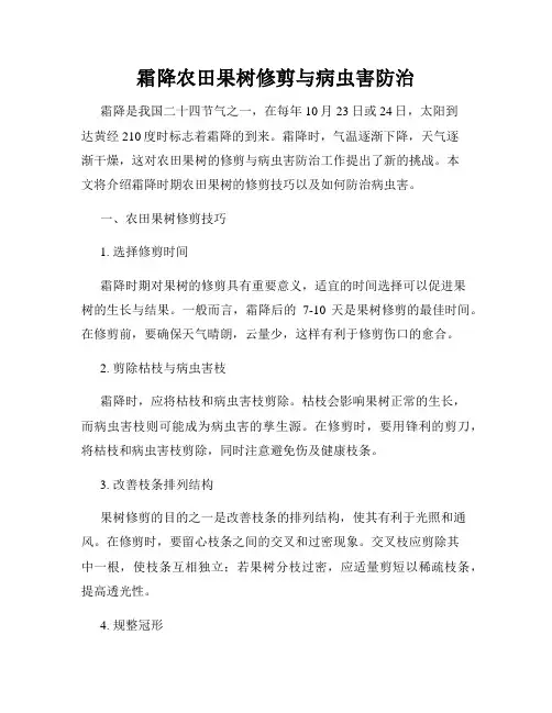 霜降农田果树修剪与病虫害防治