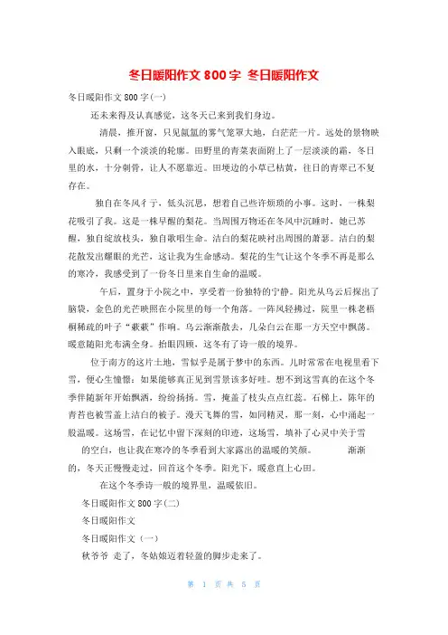 冬日暖阳作文800字 冬日暖阳作文