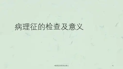 病理征的检查及意义课件