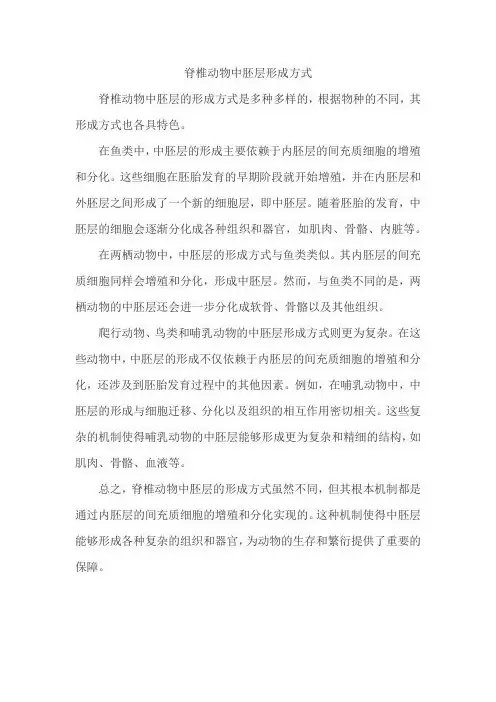 脊椎动物中胚层形成方式