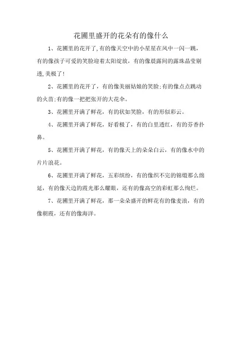 花圃里盛开的花朵有的像什么