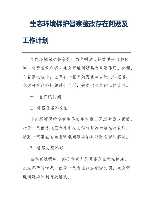 生态环境保护督察整改存在问题及工作计划
