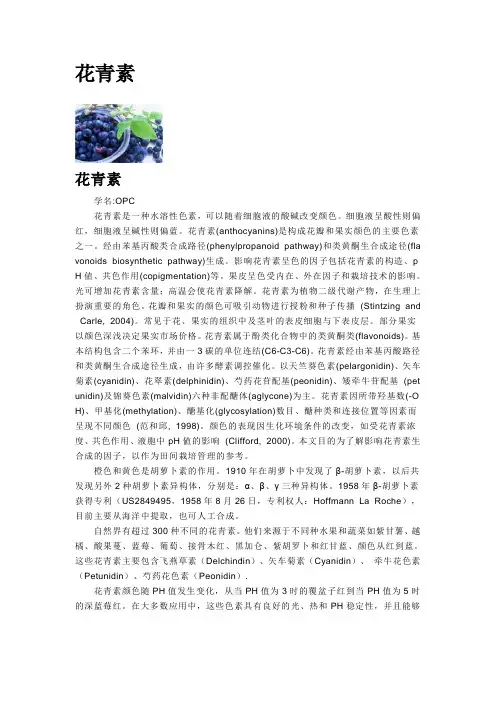 花青素