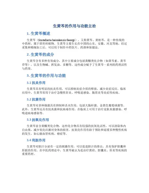 生黄芩的作用与功能主治