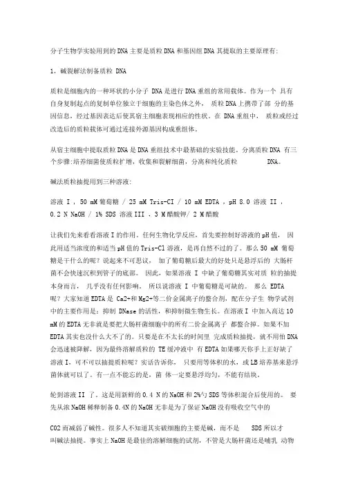 DNA抽提原理解析
