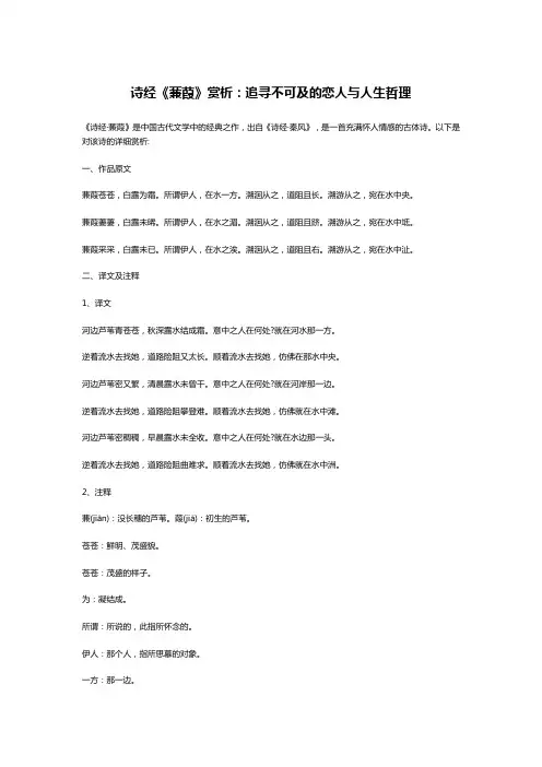 诗经《蒹葭》赏析：追寻不可及的恋人与人生哲理