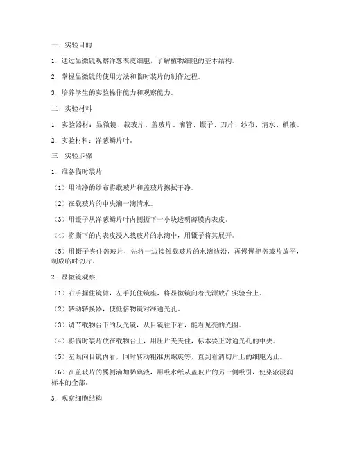 洋葱显微实验报告