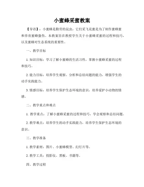 小蜜蜂采蜜教案