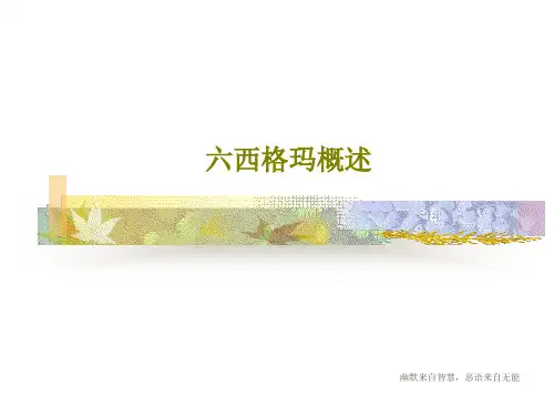 六西格玛概述102页PPT