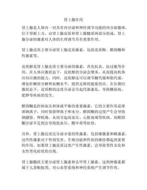 肾上腺作用