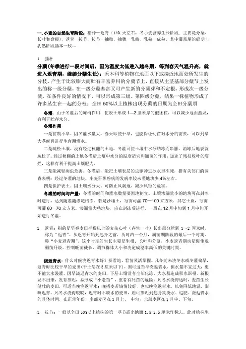 小麦各生长期简介
