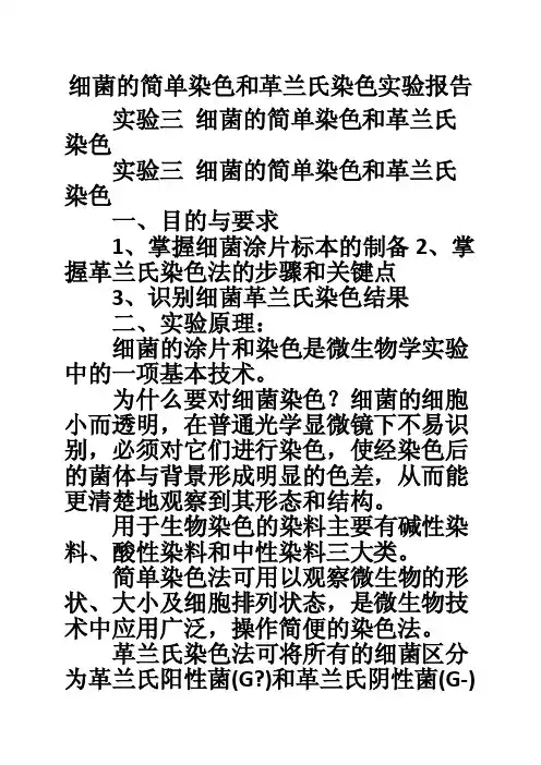 细菌的简单染色和革兰氏染色实验报告