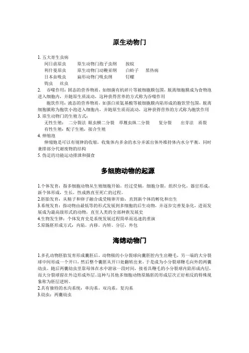 无脊椎动物总结