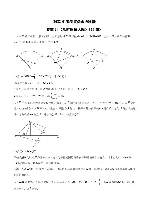 中考 数学专练14(几何压轴大题)(30题)(学生版) 