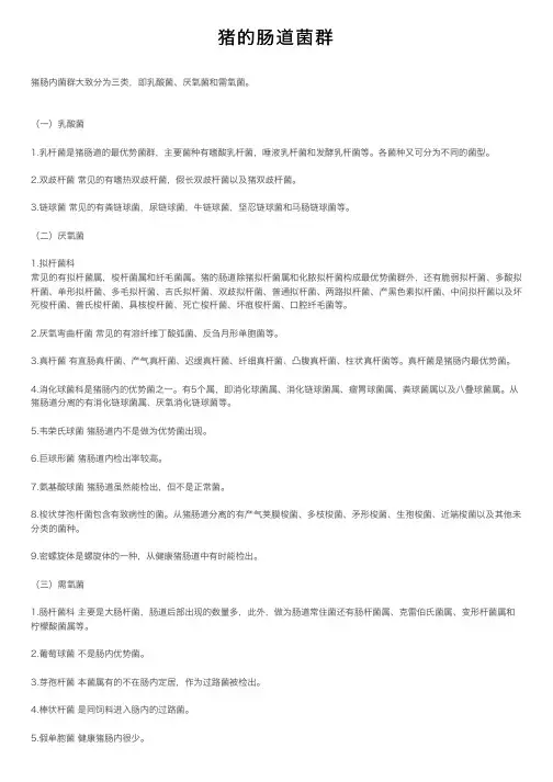 猪的肠道菌群