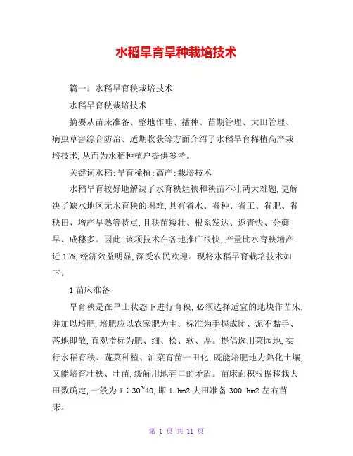 水稻旱育旱种栽培技术