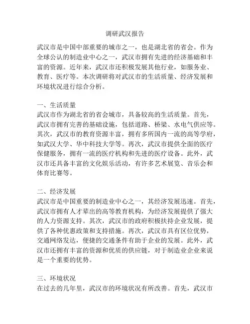 调研武汉报告