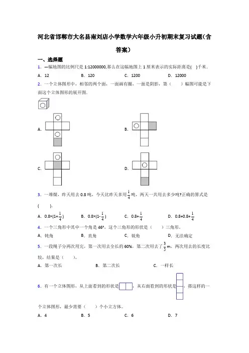 河北省邯郸市大名县南刘店小学数学六年级小升初期末复习试题(含答案)