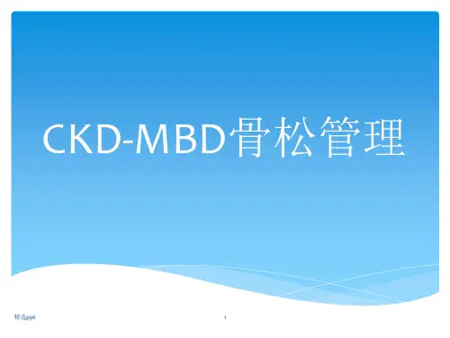 中华医学会肾脏病分会13版肾性骨病指南解读