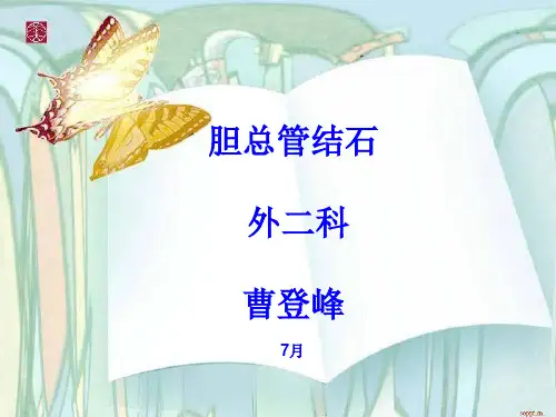 胆总管结石课件PPT课件